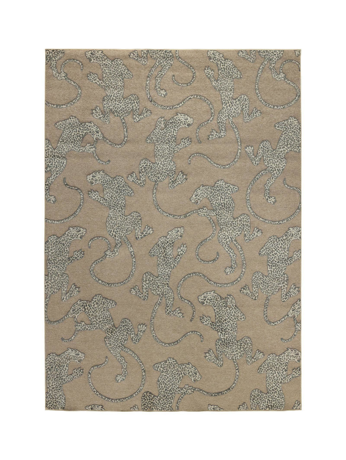 Curious Seeker Rugs