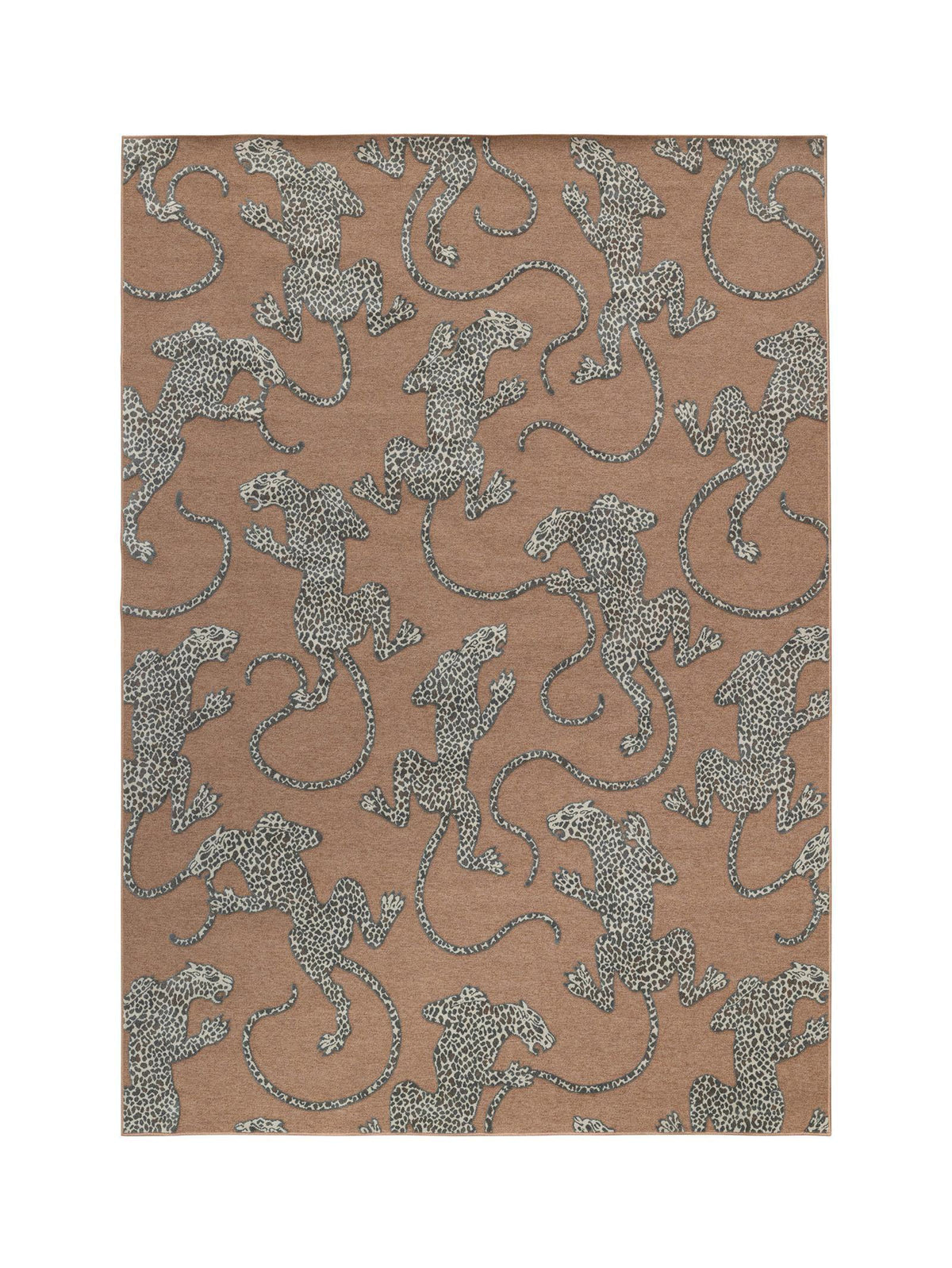 Curious Seeker Rugs